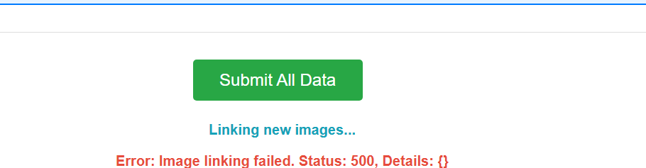 Submit error example